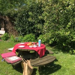 scriptie lunch picknicktafel laag-zuthem