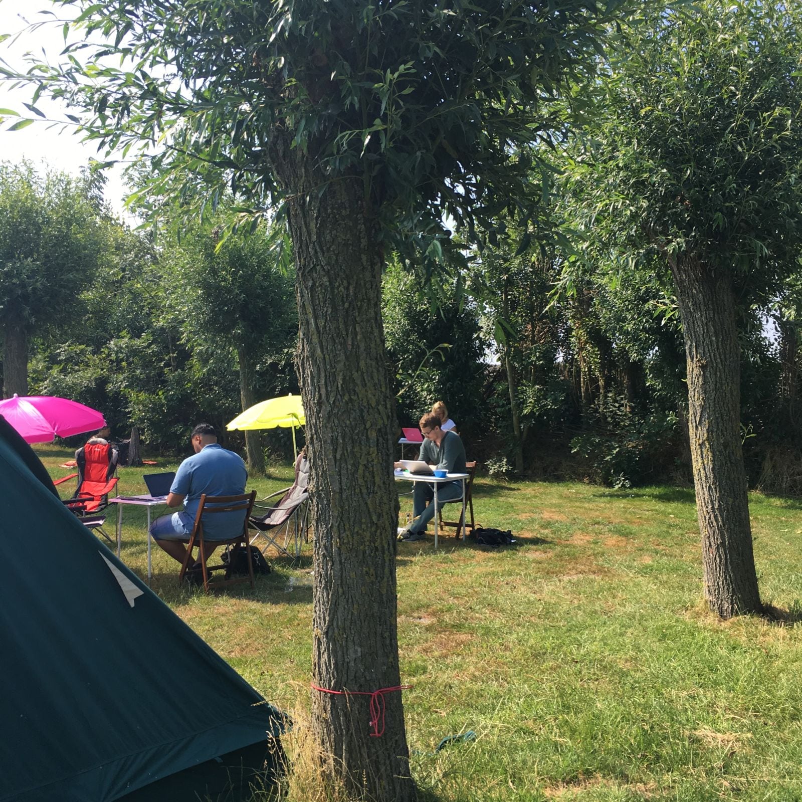 scriptie schrijven studenten onder een parasol