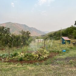 Lugina e Vogel moestuin in de zomer