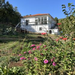 Gasthuis Lugina e Vogel nog in de stijgers, met op de voorgrond bloemen en de moestuin