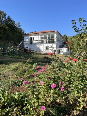 Gasthuis Lugina e Vogel nog in de stijgers, met op de voorgrond bloemen en de moestuin