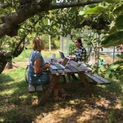 studenten werken buiten aan een picknick tafel aan hun scriptie