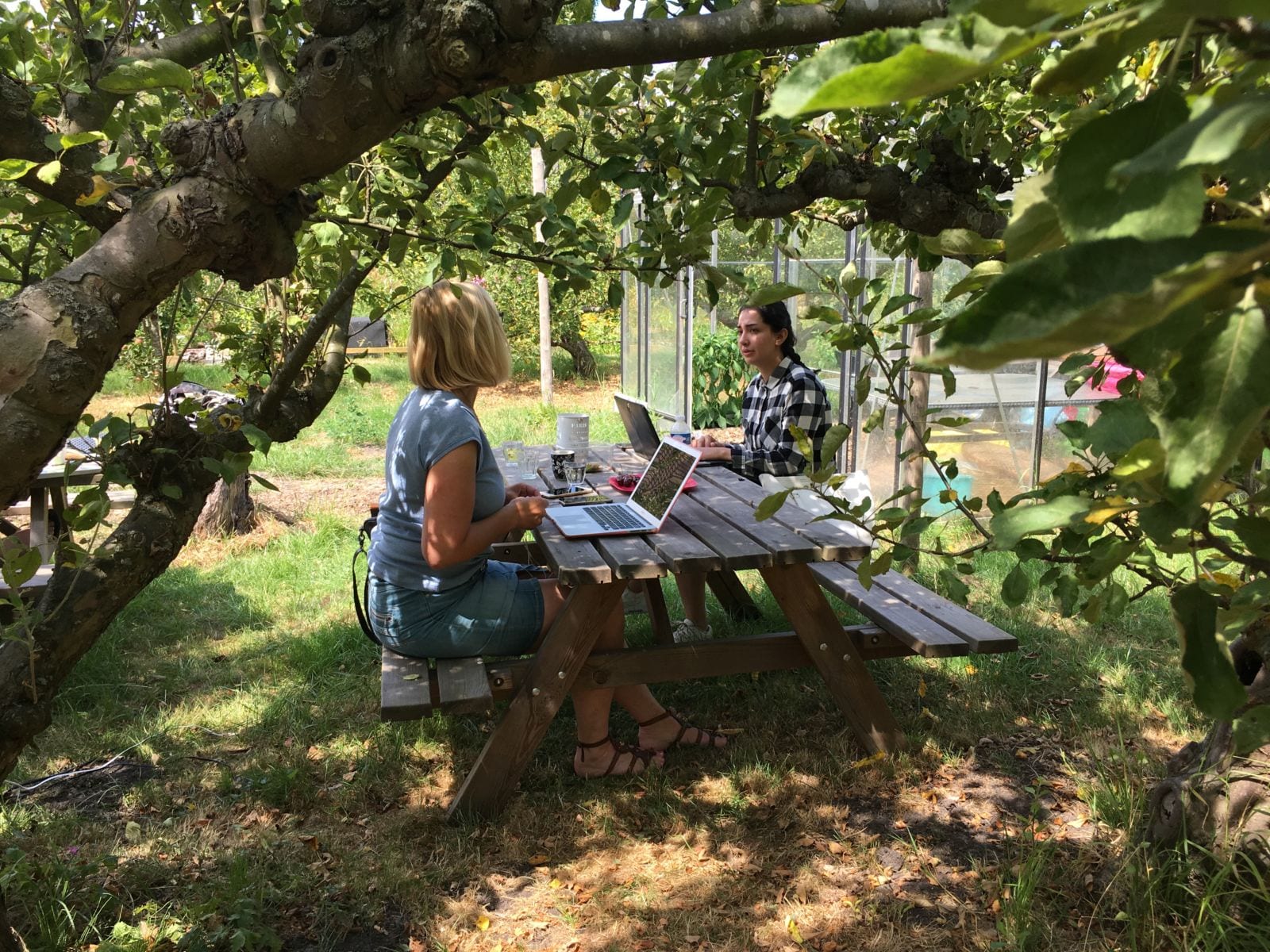 studenten werken buiten aan een picknick tafel aan hun scriptie