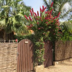 yogavakantie entree villa
