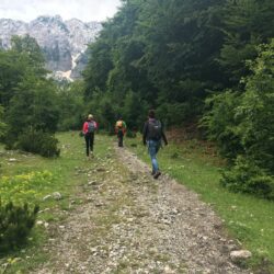 IMG_9120